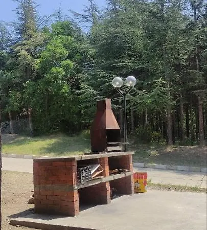 Studio דירה